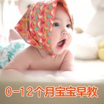 Logo of the podcast 0-1岁宝宝在家早教方法内容 Podcast 0-1岁宝宝在家早教方法内容