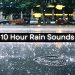 Logo of the podcast 10 Hour Rain Sounds Podcast 10 Hour Rain Sounds