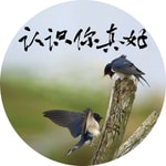 Podcast 认识你真好 播客