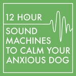 Logo of the podcast 12 Hour Sound Machines to Calm Your Anxious Dog