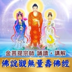 Logo of the podcast 佛說觀無量壽佛經 金菩提宗師誦讀講解 Podcast 佛說觀無量壽佛經 金菩提宗師誦讀講解