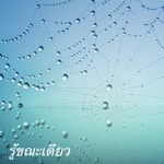 Logo of the podcast รู้ขณะเดียว Podcast รู้ขณะเดียว