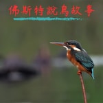 Logo of the podcast 佛斯特說鳥故事 Podcast 佛斯特說鳥故事