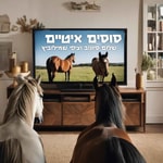 Podcast סוסים איטיים - שלום סיונוב וציפי שמילוביץ 