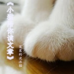 Logo of the podcast 小猫陪你读文章 Podcast 小猫陪你读文章