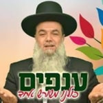Logo of the podcast הרב יגאל כהן ענפים Podcast הרב יגאל כהן ענפים