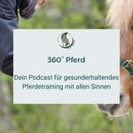 Logo of the podcast raum im fluss Podcast raum im fluss