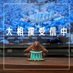 大相撲受信中 Podcast 大相撲受信中