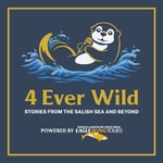 Logo of the podcast 4 Ever Wild: Stories of the Salish Sea and Beyond Podcast 4 Ever Wild: Stories of the Salish Sea and Beyond