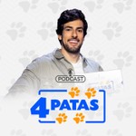 Logo of the podcast 4 Patas Podcast 4 Patas