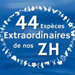Podcast 44 Espèces Extraordinaires de nos Zones Humides