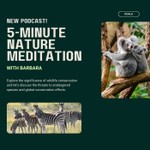 Logo of the podcast 5-Minute Nature Meditation Podcast 5-Minute Nature Meditation