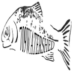 Logo of the podcast 709 Watershed