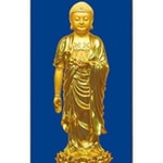 Logo of the podcast A Buddhist Practitioner's Podcast Podcast A Buddhist Practitioner's Podcast