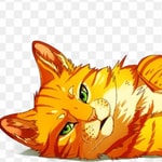 Logo of the podcast A Cat Chat Podcast A Cat Chat