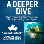 Logo of the podcast A Deeper Dive Podcast A Deeper Dive