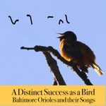 Podcast A Distinct Success as a Bird