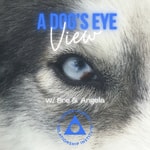 A Dog's Eye View A Dog's Eye View