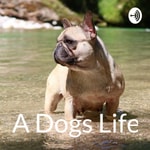 Logo of the podcast A Dogs Life Podcast Podcast A Dogs Life Podcast