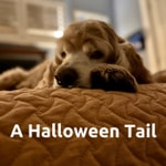 Logo of the podcast A Halloween Tail Podcast A Halloween Tail