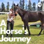 Logo of the podcast A Horse's Journey Podcast A Horse's Journey