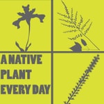 Logo of the podcast A Native Plant Every Day Podcast A Native Plant Every Day