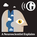 Logo of the podcast A Neuroscientist Explains Podcast A Neuroscientist Explains