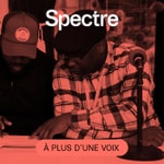 Logo of the podcast À plus d’une voix Podcast À plus d’une voix