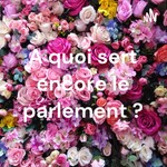 Logo of the podcast A quoi sert encore le parlement ? Podcast A quoi sert encore le parlement ?