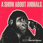 Logo of the podcast A Show About Animals Podcast A Show About Animals