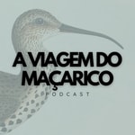 A Viagem do Maçarico Podcast A Viagem do Maçarico