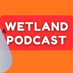 Logo of the podcast A Wetland Podcast Podcast A Wetland Podcast