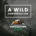 Logo of the podcast A Wild Conversation Podcast A Wild Conversation