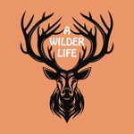 Logo of the podcast A Wilder Life Podcast A Wilder Life