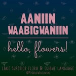 AANIIN WAABIGWANIIN: hello, flowers!