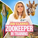 Podcast Abi Clarke: Zookeeper in Training