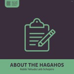 Logo of the podcast About the Hagahos, Rabbi Leibel Schapiro Podcast About the Hagahos, Rabbi Leibel Schapiro