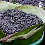 Logo of the podcast Açaí economia Podcast Açaí economia