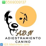 Logo of the podcast ADN Adiestramiento Canino Podcast ADN Adiestramiento Canino