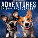 Logo of the podcast Adventures in Dog Photography Podcast Adventures in Dog Photography