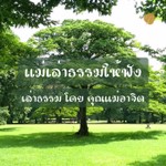 Logo of the podcast แม่เล่าธรรมให้ฟัง Podcast แม่เล่าธรรมให้ฟัง