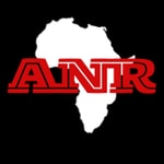 Logo of the podcast African News Review Podcast African News Review