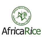 Logo of the podcast AfricaRice Audio Podcasts Podcast AfricaRice Audio Podcasts