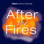 Logo of the podcast After the Fires: A Limited Podcast Series Podcast After the Fires: A Limited Podcast Series