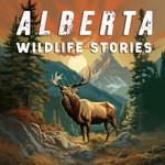 Alberta Wildlife Stories Alberta Wildlife Stories