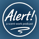 Logo of the podcast Alert! Scent Work Podcast Alert! Scent Work