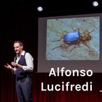 Logo of the podcast Alfonso Lucifredi - Storie di natura Podcast Alfonso Lucifredi - Storie di natura