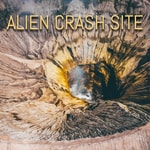 Alien Crash Site Alien Crash Site