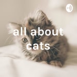 Logo of the podcast all about cats Podcast all about cats