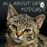 Logo of the podcast All About Cats Podcast Podcast All About Cats Podcast